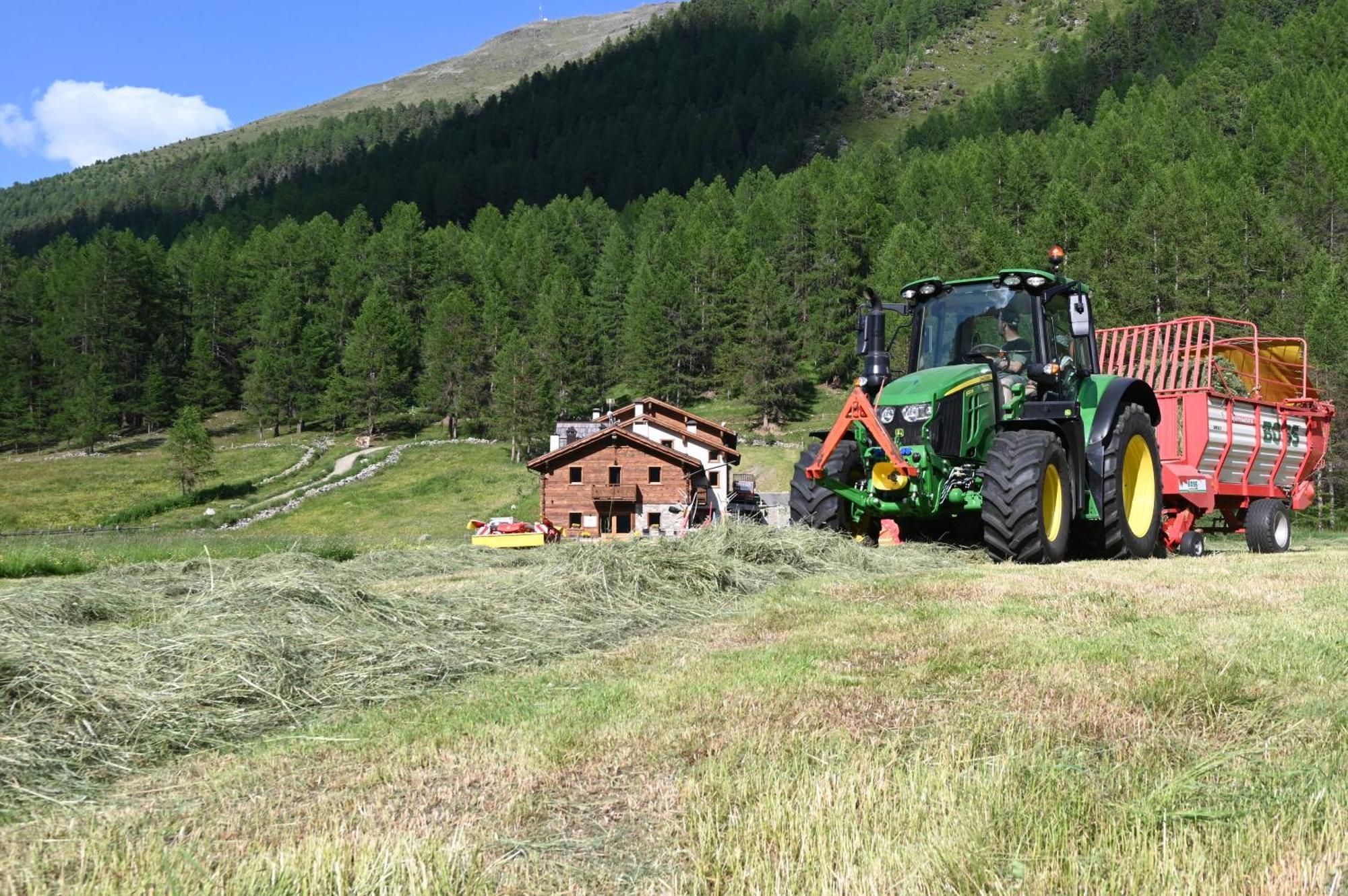Agriturismo Bosco D'Oro Livigno Esterno foto